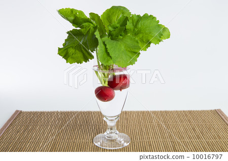 Radish 10016797