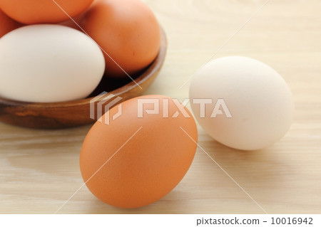 蛋雞蛋 10016942