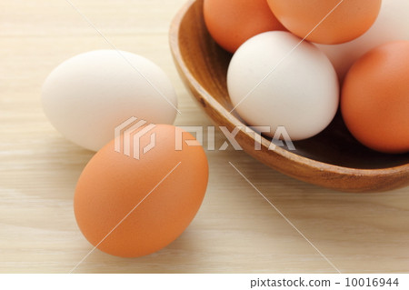 蛋雞蛋 蛋雞蛋 10016944