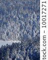 Penketo 10017271