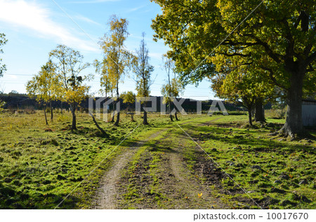 Rural tracks Rural tracks 10017670