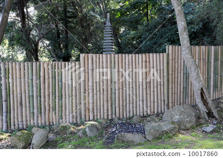 竹籬笆 10017860
