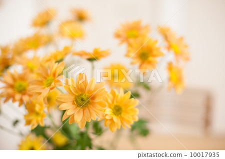 鮮花裝飾在桌子上 10017935