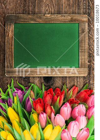 blackboard with colorful tulip flowers 10018673