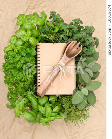recipe book with variety fresh herbs and decoration 10018674