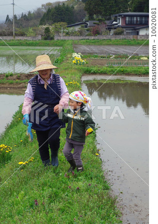 My grandmother walking along the elephant pathway and grandchildren 10020081