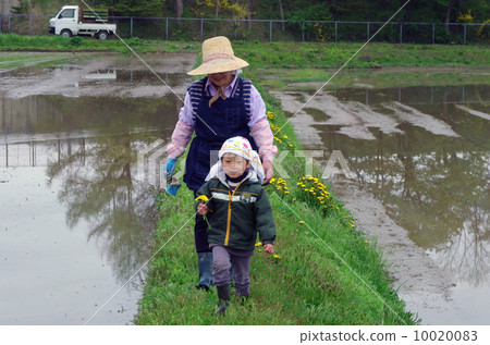 我的祖母沿著大象路和孫子走 我的祖母沿著大象路和孫子走 10020083