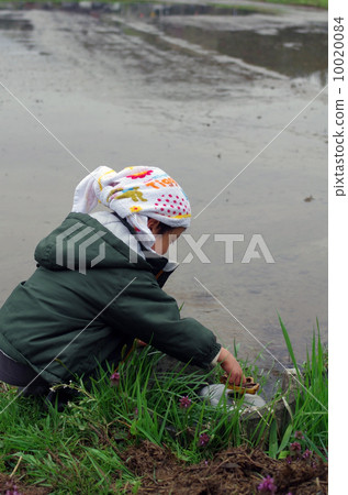 打開農業用水龍頭的兒童 10020084