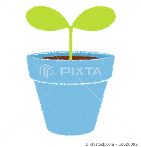 Illustration of crayon touch Futaba and flowerpot light blue Illustration of crayon touch Futaba and flowerpot light blue 10020099