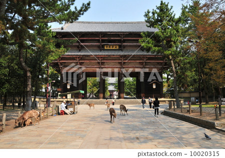 奈良東大寺的南大門 10020315