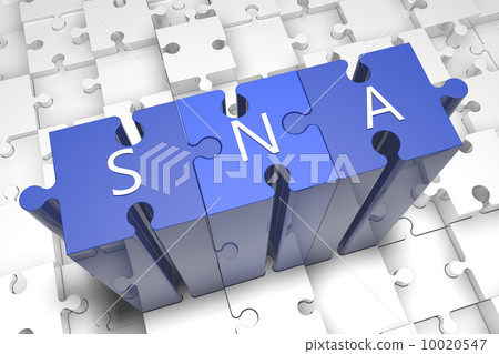 Systems Network Architecture 10020547