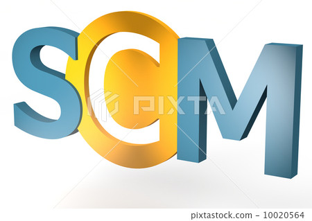 Supply Chain Management 10020564