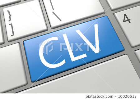 Customer Lifetime Value Customer Lifetime Value 10020612
