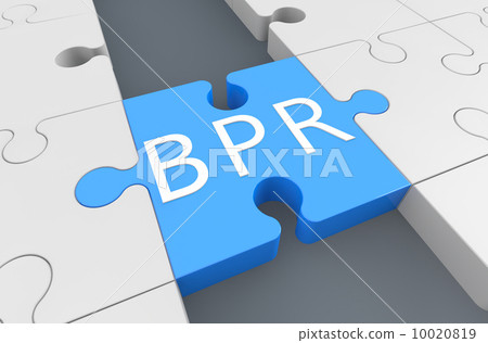 Business Process Reengineering Business Process Reengineering 10020819