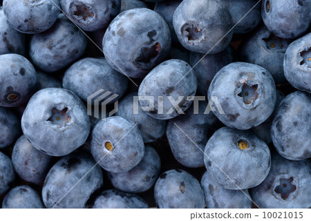 Fresh blueberries 10021015