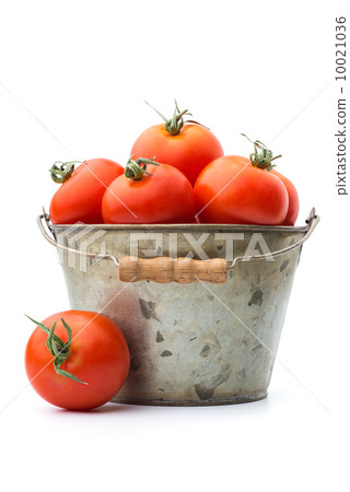 Bucketful of tomatoes 10021036