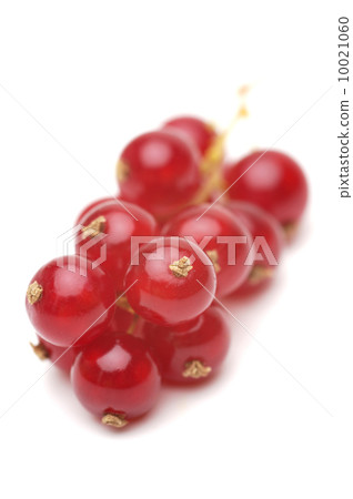 Red currant Red currant 10021060