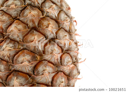 Pineapple 10021651
