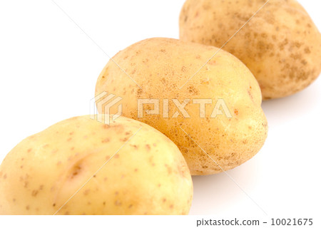 Potatos Potatos 10021675