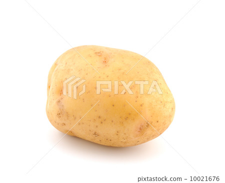 Potato Potato 10021676
