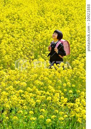 嘲笑強姦領域的新的一年級女孩 10021888