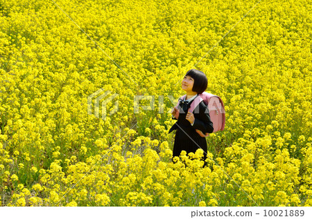 嘲笑強姦領域的新的一年級女孩 嘲笑強姦領域的新的一年級女孩 10021889