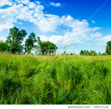 Grass and clouds on blue sky Grass and clouds on blue sky 10022120