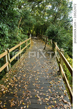 柿田川公園 10022472