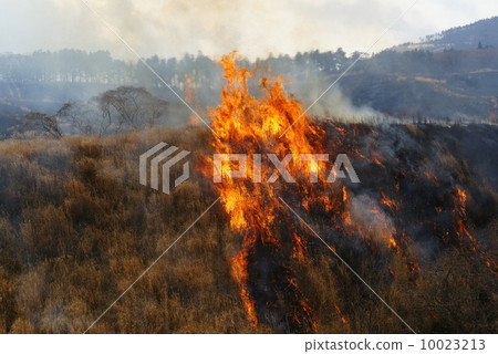 Mountain-burning of Hosono Takahara Mountain-burning of Hosono Takahara 10023213