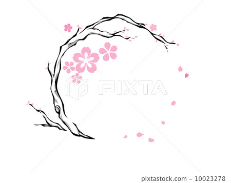 櫻桃樹 10023278