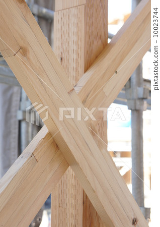 Wooden house 10023744