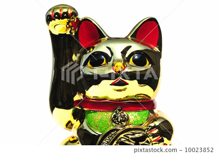 Golden invitation cat-3 10023852
