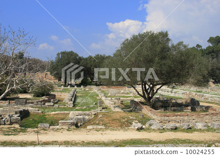 Greece Olympia Ruins of Olympia 10024255