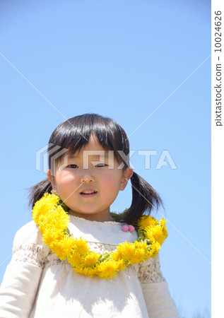 Girl making a dandelion necklace Girl making a dandelion necklace 10024626