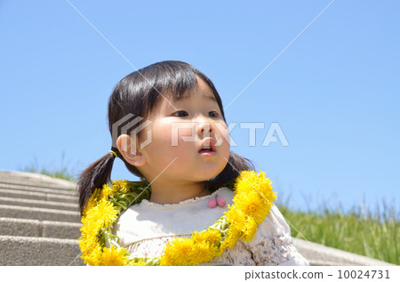 Girl making a dandelion necklace 10024731