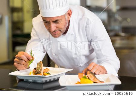 Concentrated male chef garnishing food in kitchen 10025616