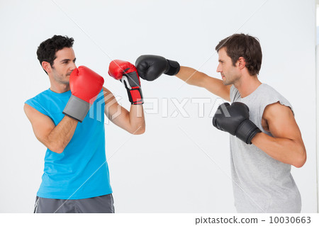 Side view of two male boxers practicing 10030663