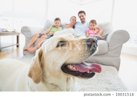 Happy family sitting on couch with their pet yellow labrador in 10031518