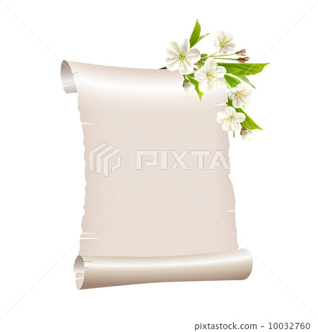 Scroll blank paper with blossoming cherry branch Scroll blank paper with blossoming cherry branch 10032760
