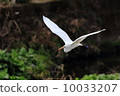 Daisaki flying to here 10033207