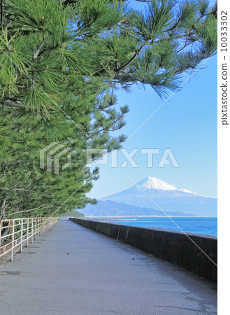 Miho no Matsubara 10033302