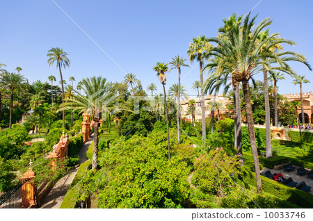 西班牙塞維利亞阿爾卡薩 10033746