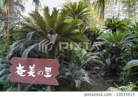 Amatomo no Sato Amatomo no Sato 10033813