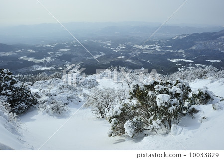 鶴見在冬天 鶴見在冬天 10033829