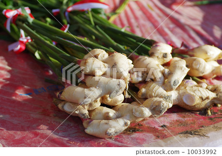 Mud with ginger Mud with ginger 10033992