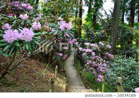 The stone of flower arrangement The stone of flower arrangement 10034169