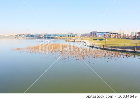 Koshigaya Lake Town 10034649