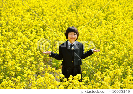 一個新的一年級學生女孩在油菜田傳播她的手 一個新的一年級學生女孩在油菜田傳播她的手 10035349