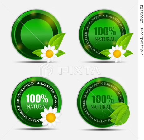Natural Green Label Set. Vector Illustration 10035502