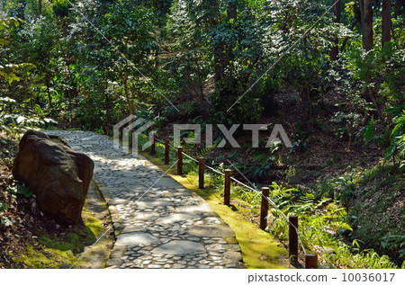 Koishikawa Korakuen·沿著Kiso河延伸 10036017